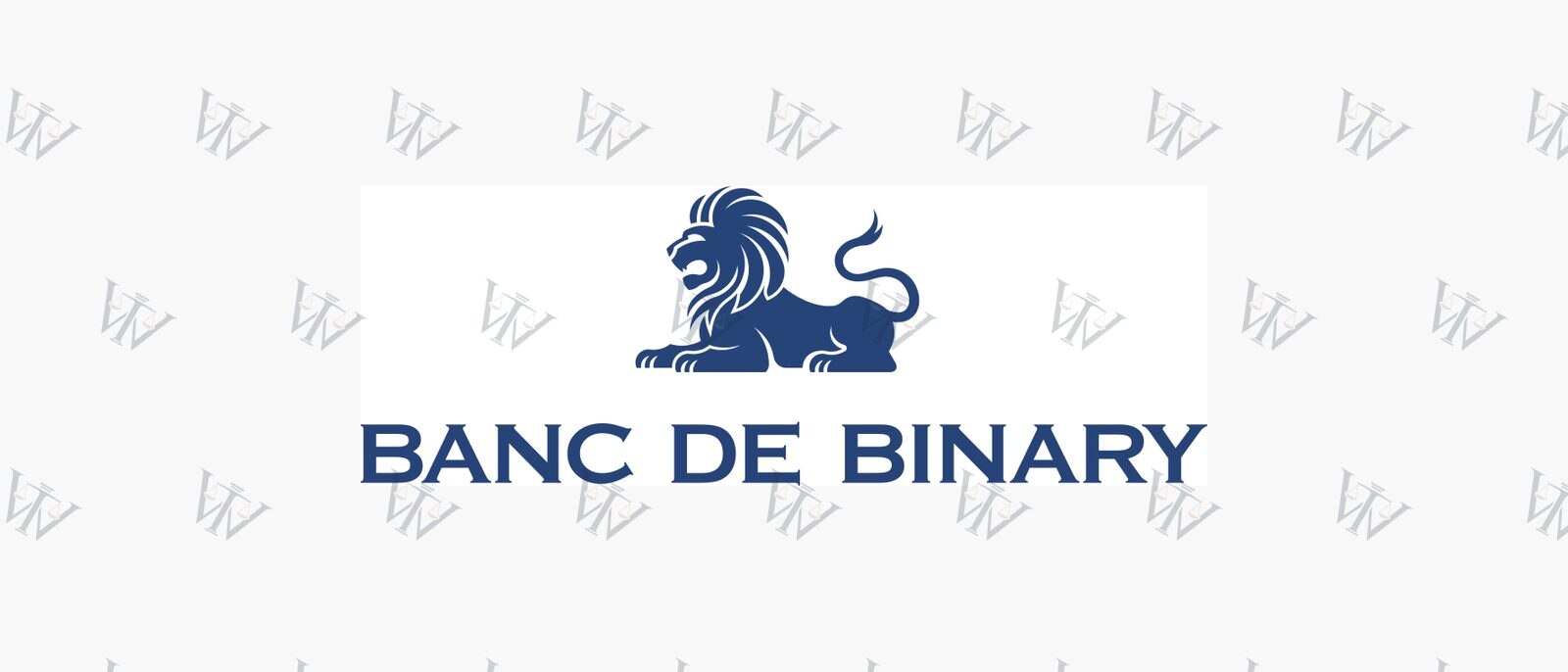 Banc de Binary logo