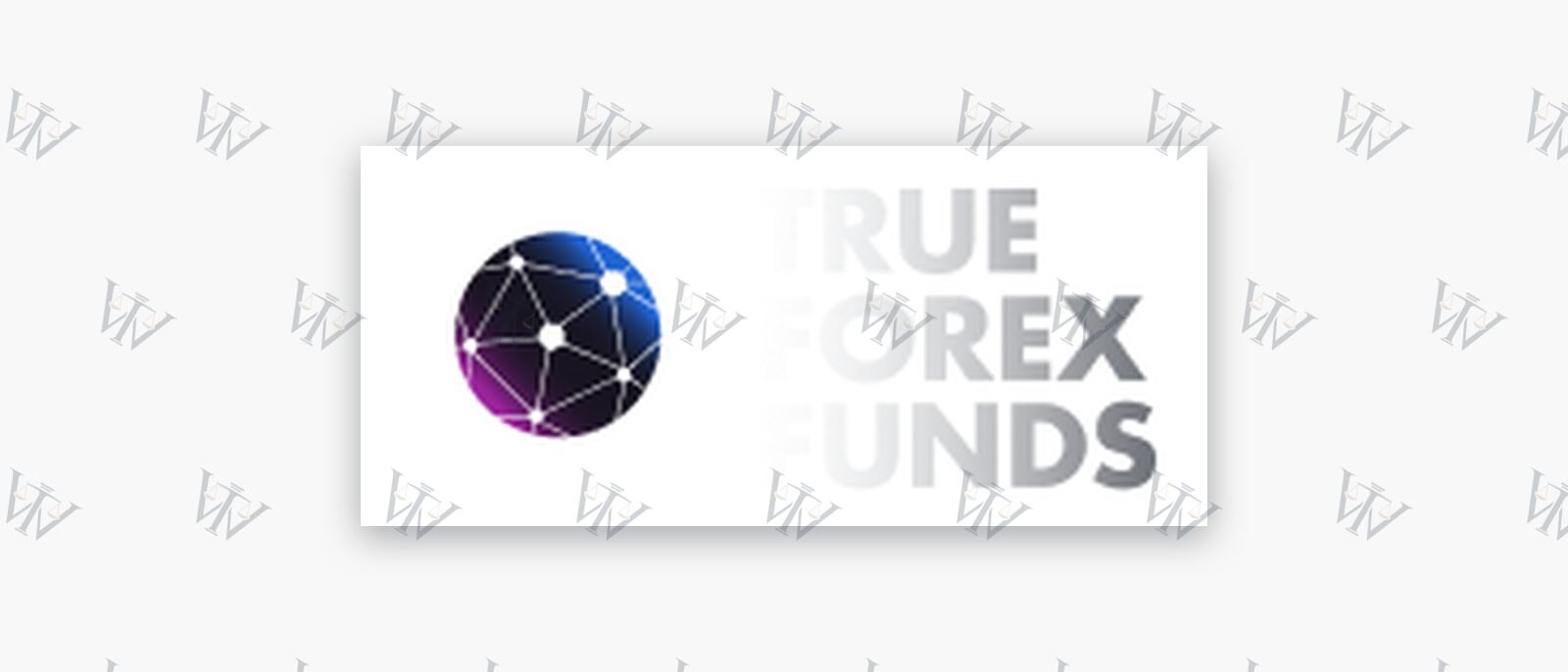 True Forex Funds logo