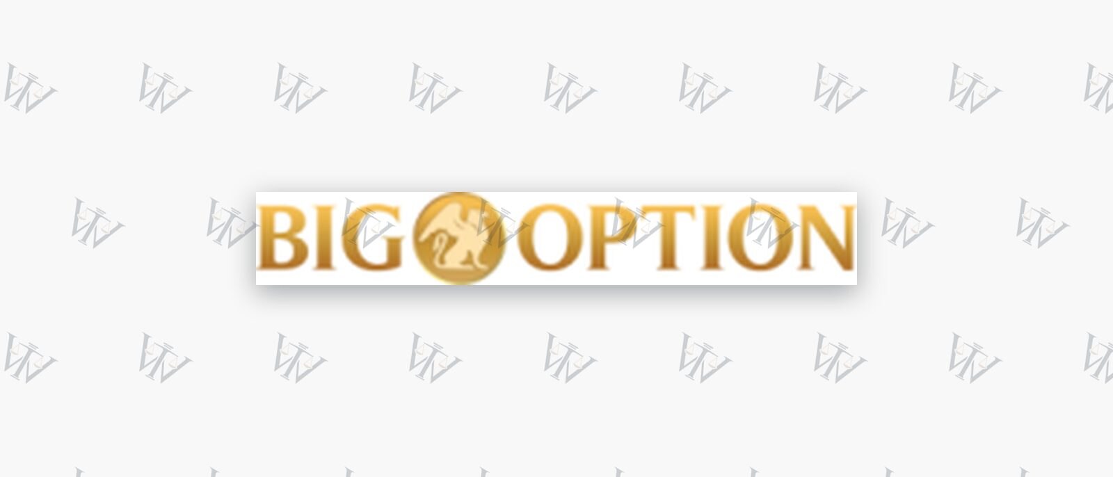 BigOption logo